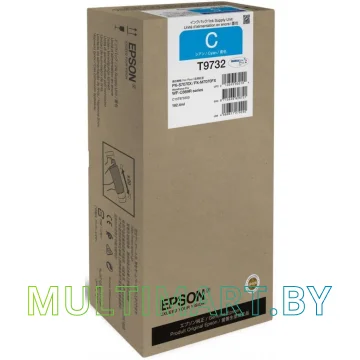 Чернила Epson C13T973200